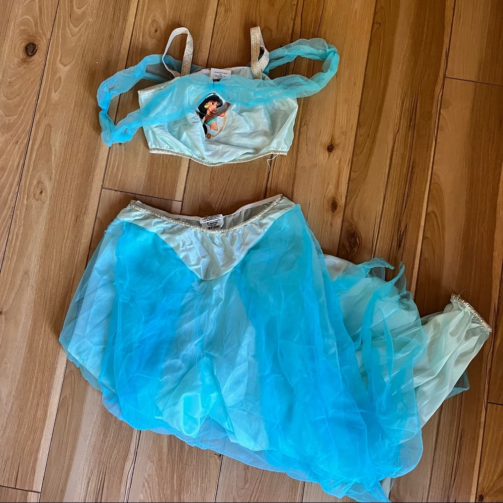 Princess Jasmine Costume